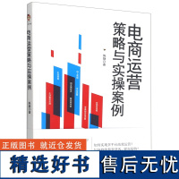 正版 电商运营策略与实操案例 互联网思维与传统企业转型 经济管理类书籍