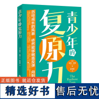 青少年的复原力 正念乐观主义抑郁焦虑人生意义心理心灵励志