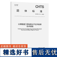 公路隧道工程地质水平定向钻探技术规程(T/CHTS 10111-2023)