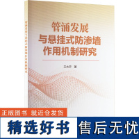 管涌发展与悬挂式防渗墙作用机制研究 王大宇 著 建筑/水利(新)专业科技 正版图书籍 中国水利水电出版社