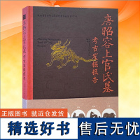 唐昭容上官氏墓 陕西省考古研究院 大唐故昭容上官氏铭 单室砖券墓 上官昭容世系 考古发掘 文物出版社