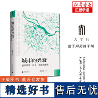 城市的兴衰 基于经济社会制度的逻辑版 郑荣华 著 经济理论 经济体制与改革 各流派经济学说 广西师范大学出版社