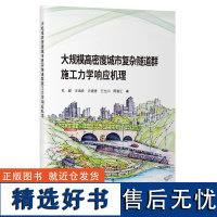 大规模高密度城市复杂隧道群施工力学响应机理