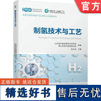 正版 制氢技术与工艺 山东氢谷新能源技术研究院 佛山环境与能源研究院 9787111742142 机械工业出版社