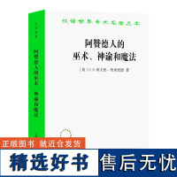 阿赞德人的巫术、神谕和魔法/汉译世界学术名著丛书