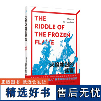 火焰冰封的迷宫 经典福尔摩斯风格侦探小说 千面人侦探故事巴尔干浪漫故事犯罪推理悬疑破案福尔摩斯探案 人民文学出版社