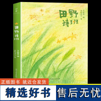 田野诗班 登上春晚的山里娃娃们的诗集JST 白岩松83首纯真童诗+幅手绘童画+段纯净童声 像孩子一样重新感受世界湖南人民