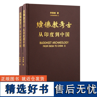 书 续佛教考古:从印度到中国 南北朝时期 石窟美学 丝绸之路遗迹遗物 地面佛寺遗址石窟寺遗迹零散佛教遗物 上海古籍出版D