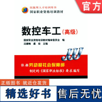 正版 数控车工 高级 沈建峰 虞俊 技能型人才培训用书 职业资格培训教材 9787111198871 机械工业出版社