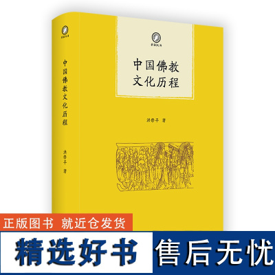 中国佛教文化历程 普隐文库 洪修平 著 商务印书馆