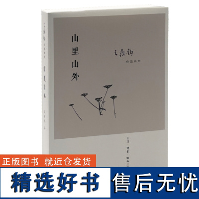 正版新书 山里山外 王鼎钧作品系列 多层次展现抗战时期流亡学生和基层民众生活的纪实散文长篇 三联书店L