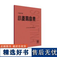 小奏鸣曲集 大音符版大字版 人民音乐正版书籍红皮是 初学入门库劳克列门蒂海顿莫扎特贝多芬杜舍克练习曲教材教程曲谱曲集书