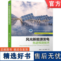 正版 风光新能源发电先进预测技术 杨明 于一潇 李梦林 机械工业出版社高水平学术著作出版基金项目 能源革命与先进技术