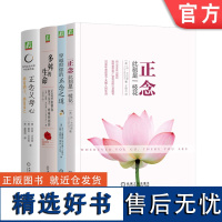 套装 卡巴金心理学作品集套装全4册 正念 此刻是一枝花+多舛的生命+穿越抑郁的正念之道+正念父母心 正念减压心灵疗愈心理