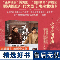 南来北往 高满堂著 (白敬亭、金晨领衔主演年代大剧《南来北往》同名小说 悬案追凶推理小说文学