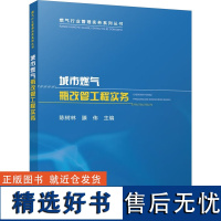 城市燃气瓶改管工程实务 陈树林,滕伟 编 建筑/水利(新)专业科技 正版图书籍 中国建筑工业出版社