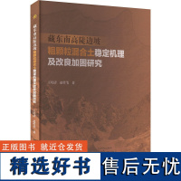 藏东南高陡边坡粗颗粒混合土稳定机理及改良加固研究 王培清,赵哲苇 著 建筑/水利(新)专业科技 正版图书籍