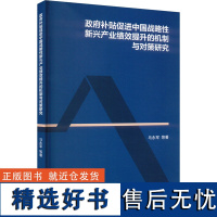 政府补贴促进中国战略性新兴产业绩效提升的机制与对策研究 马永军 等 著 经济理论经管、励志 正版图书籍