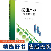 氢能产业技术与发展 张钊,师菲芬 著 能源与动力工程专业科技 正版图书籍 中国石化出版社