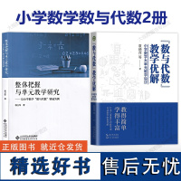 新教材如何教[小学数学数与代数2册]整体把握与单元教学研究以小学数学数与代数领域为例 数与代数教学优解大单元教学设计袁晓