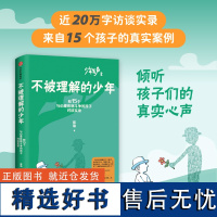 不被理解的少年 陈瑜著 《少年发声》系列第二部 关注青少