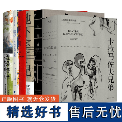 陀思妥耶夫斯基全集 世界经典文学名著书籍 罪与罚 白夜 地下室手记 白痴 卡拉马佐夫 涅朵奇卡 白痴