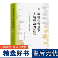 城镇化背景下乡城劳动力迁移——基于劳动力地理景观