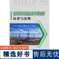 吉木萨尔页岩油水平井钻井技术与实践