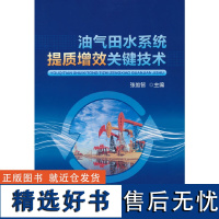 油气田水系统提质增效关键技术