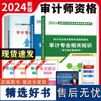 2024审计专业技术资格考试中级3册套装:金考卷+专用教材