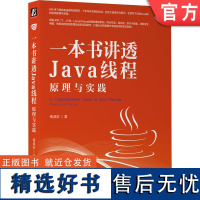 正版 一本书讲透Java线程 原理与实践 储诚益 进程间通信 CPU任务调度 原子计数器 同步机制 设计模式 并发容