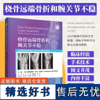 桡骨远端骨折和腕关节不稳 王欣等译骨科桡骨远端骨折腕部韧带损伤2019FESSH IFSSH联合指导教程 辽宁科学技术出