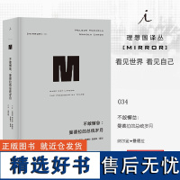 译丛034 不敢懈怠曼德拉的总统岁月 社科历史 梁文道、刘瑜、熊培云、许知远 熊培云 理想国