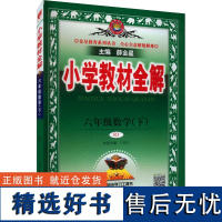 小学教材全解 6年级数学(下) RJ 薛金星 编 小学教辅文教 正版图书籍 陕西人民教育出版社