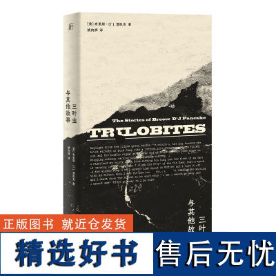 三叶虫与其他故事 布里斯·D'J.潘凯克著 姚向辉译 一頁folio书系 美国版都柏林人 书写爱与被爱的永恒欲望 广西师