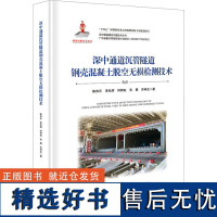 深中通道沉管隧道钢壳混凝土脱空无损检测技术 陈伟乐 等 著 交通/运输专业科技 正版图书籍 人民交通出版社股份有限公司