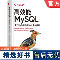 正版 高效能MySQL 提升MySQL性能的技术与技巧 丹尼尔 尼希特 响应时间 编制索引 访问模式 服务器指标 复