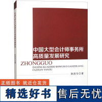 中国大型会计师事务所高质量发展研究 陈胜华 著 会计经管、励志 正版图书籍 经济科学出版社