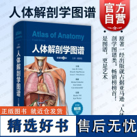 人体解剖学图谱 上海科学技术出版社部位结构剖析临床要点实践便于三维理解构造紧跟医学概念