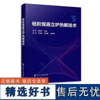 低阶煤直立炉热解技术 雷刚 低阶煤的主要特性与结构特点 低阶煤的热解原理 低阶煤分级分质利用领域科研人员工程技术人员参考