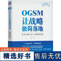 正版 袁园 OGSM让战略极简落地 1页纸 6个会议 业务目标 策略重点 衡量指标 行动计划 将战略直抓到底 责任到人