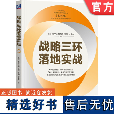 正版 战略三环落地实战 王钺 袁中华 方向晖 吴凯 钟金来 组织与人才 执行的关键 宣导 执行 复盘 信任 授权 人