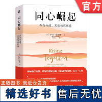 正版 同心崛起 弥合分歧 共创包容职场 萨莉 海格森 触发因素 本能反应 能见度 信心 能力 短板 过度自信的危险