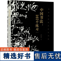 中国书法167个练习 增订版书法技法的分析与训练 书法技法的分析与训练邱振中毛笔钢笔书写技巧书法教程 书写写作技巧书入门