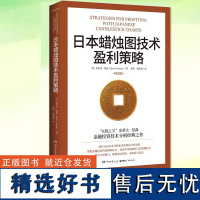 日本蜡烛图技术盈利策略 “K线之父”史蒂夫·尼森金融投资技术分析经典之作 现代交易技术分析和系统理论更新 湖南文艺出版社