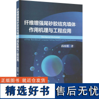 纤维增强尾砂胶结充填体作用机理与工程应用 薛改利 著 矿业技术专业科技 正版图书籍 冶金工业出版社