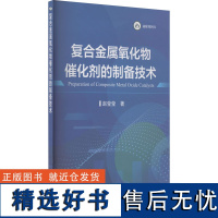 复合金属氧化物催化剂的制备技术 赵莹莹 著 冶金工业专业科技 正版图书籍 冶金工业出版社