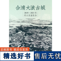 合浦大浪古城2019-2021年考古发掘报告