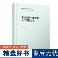 虚拟经济有限发展法学理论总说