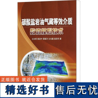 碳酸盐岩油气藏等效介质数值模拟技术 王自明,袁迎中,蒲海洋 等 著 石油 天然气工业专业科技 正版图书籍 石油工业出版社